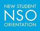 NSO logo in box