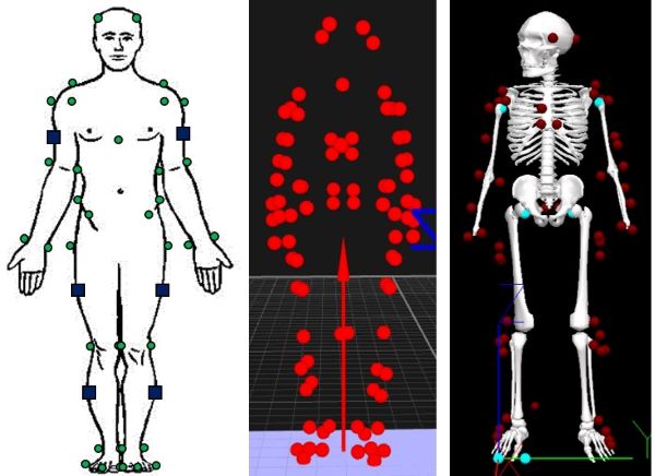 Motion Capture System Figure 