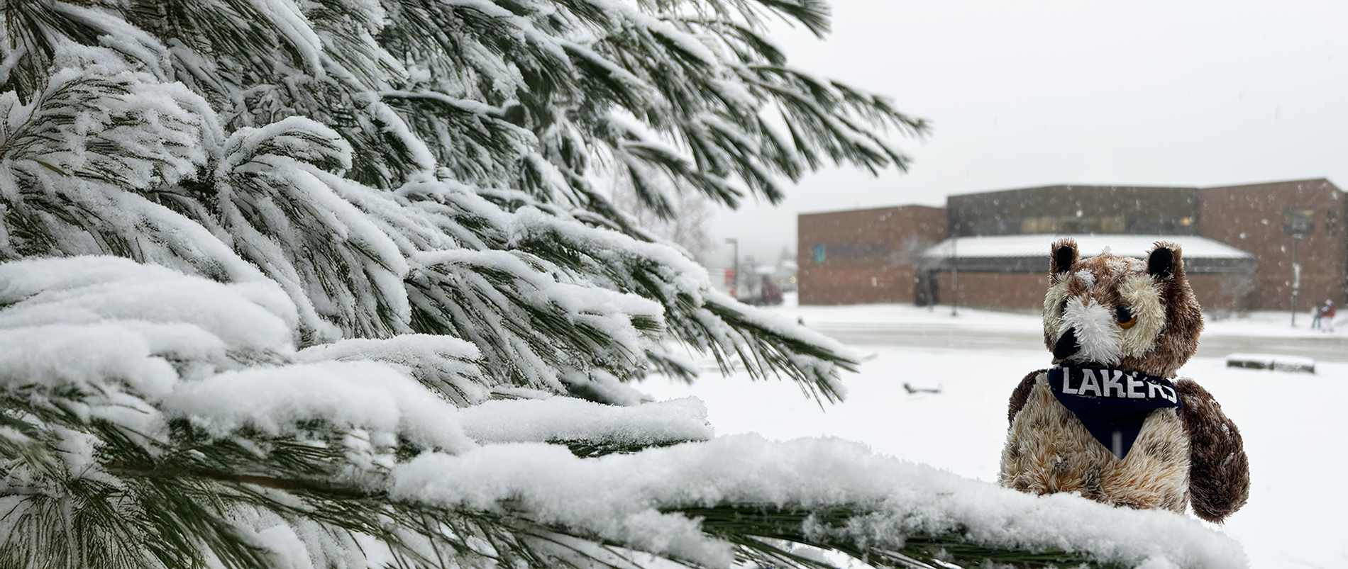Nipissing U Owl Plushie outside in snow