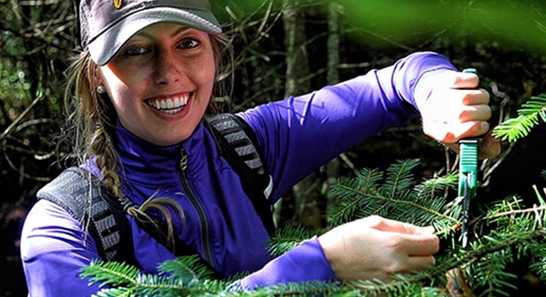 sampling trees