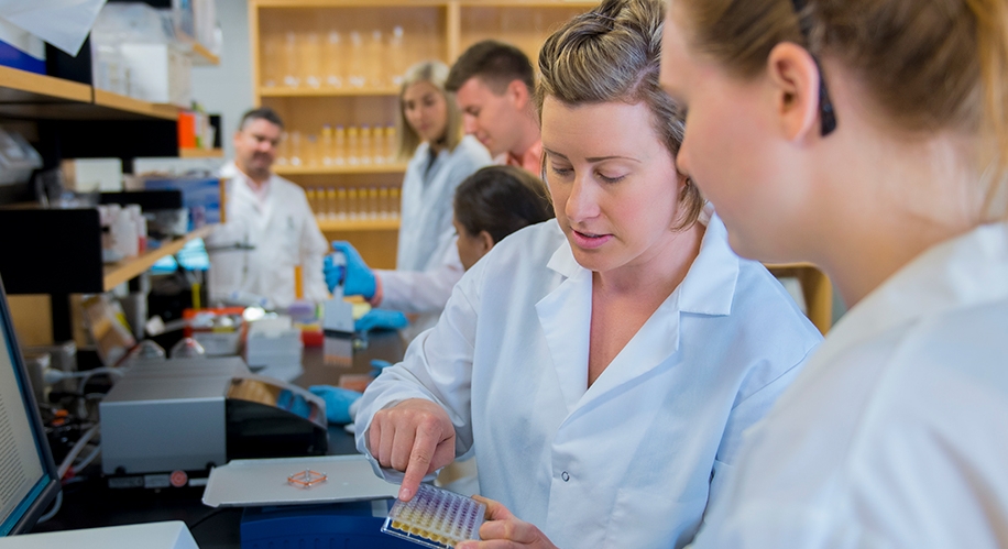 students and instructors examine lab samples