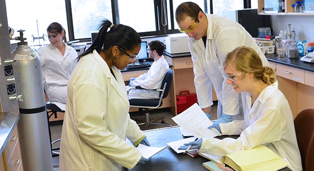 Students in a chemistry lab