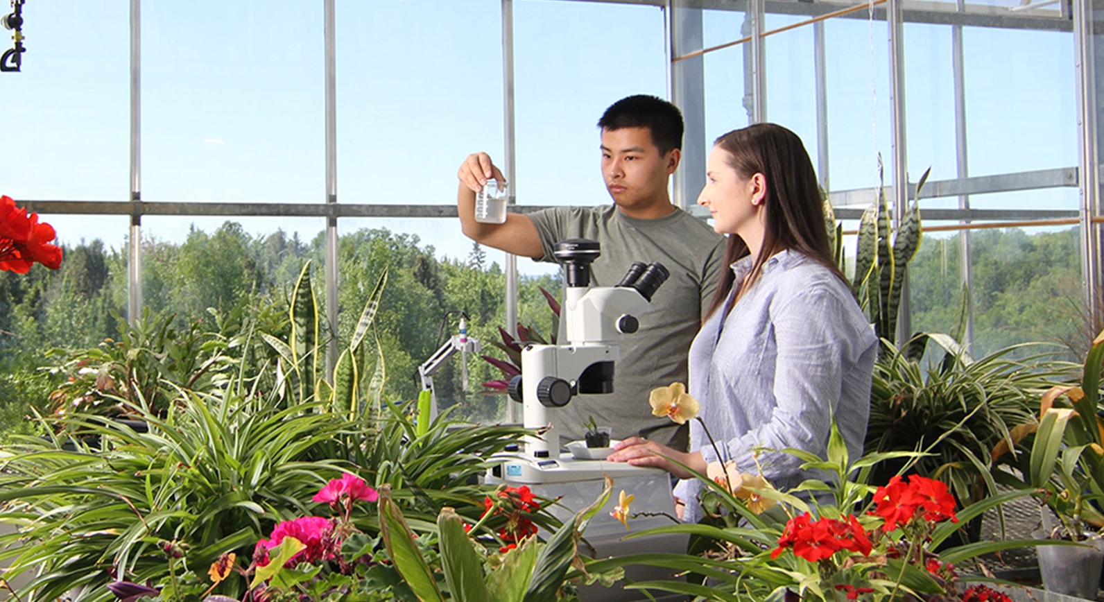 2 people looking at a sample from the microscope in the greenhouse surrounded by plants