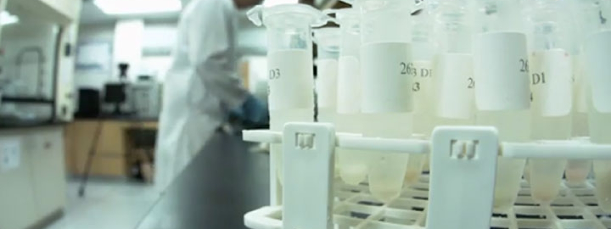 Psych lab test tubes