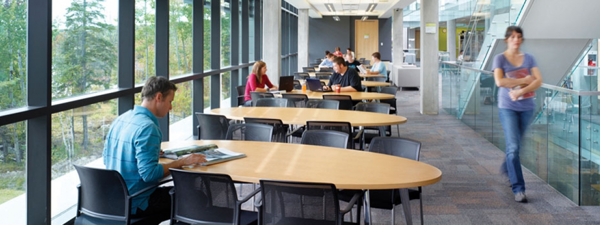 Students in the library