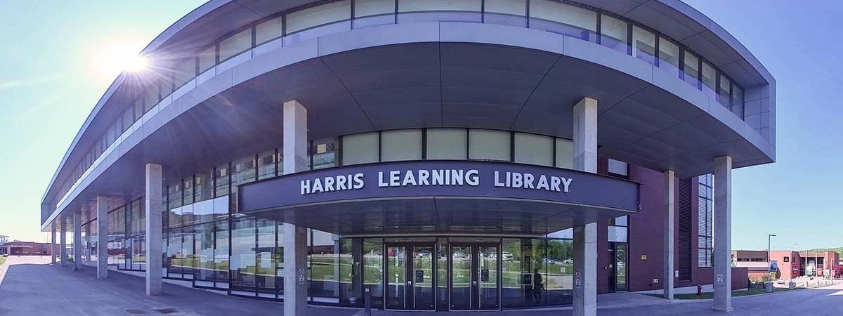 Library entrance fish eye