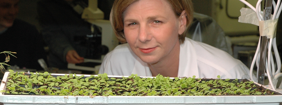 Dr. Ewa Cholewa in the Botany Lab