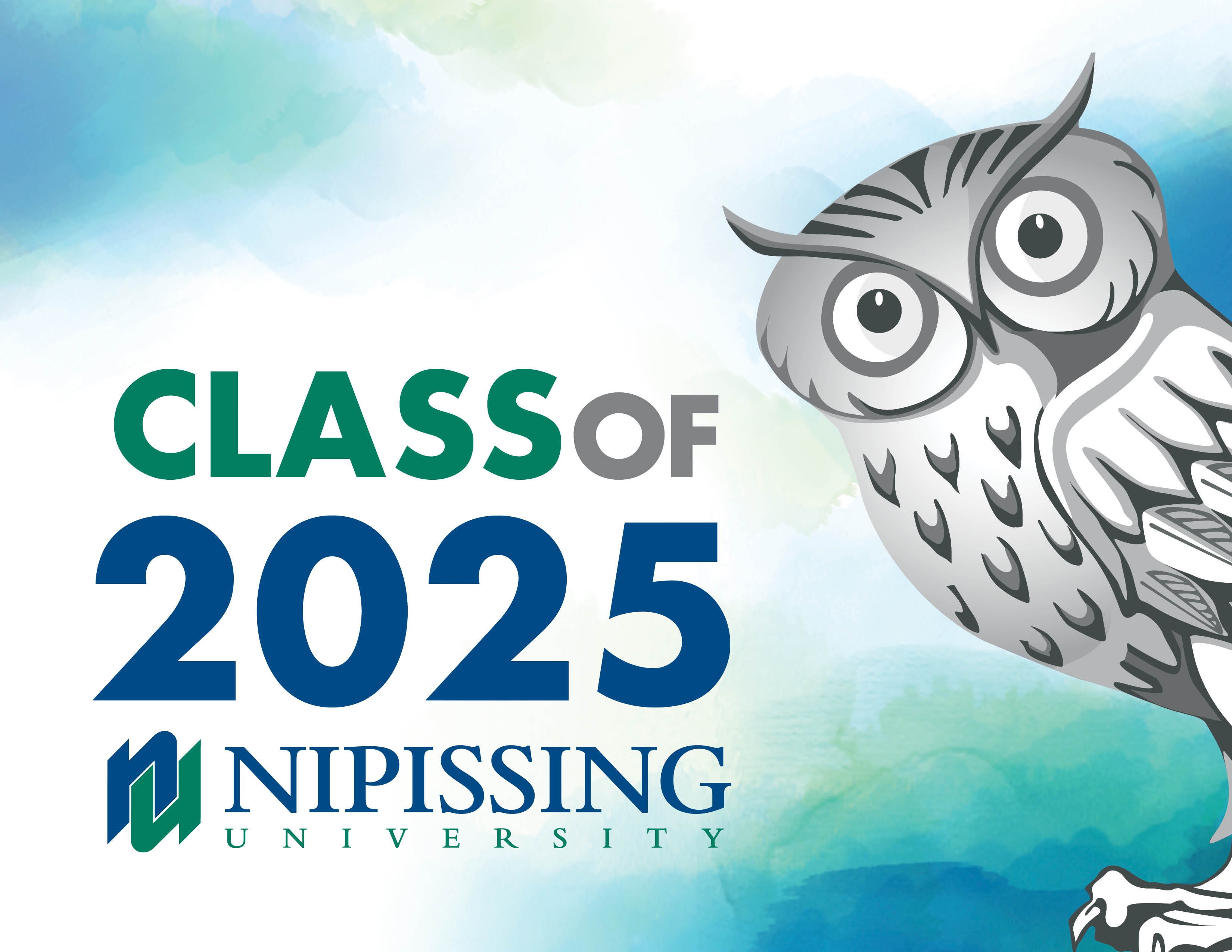 Class of 2025 Owl sign