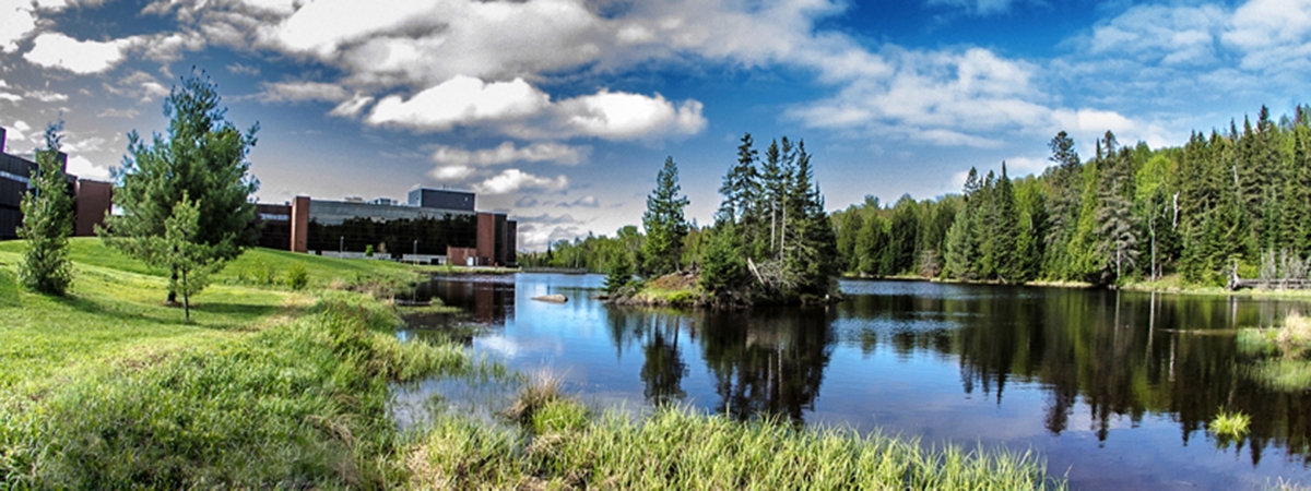 Nipissing University Pond in the Summer