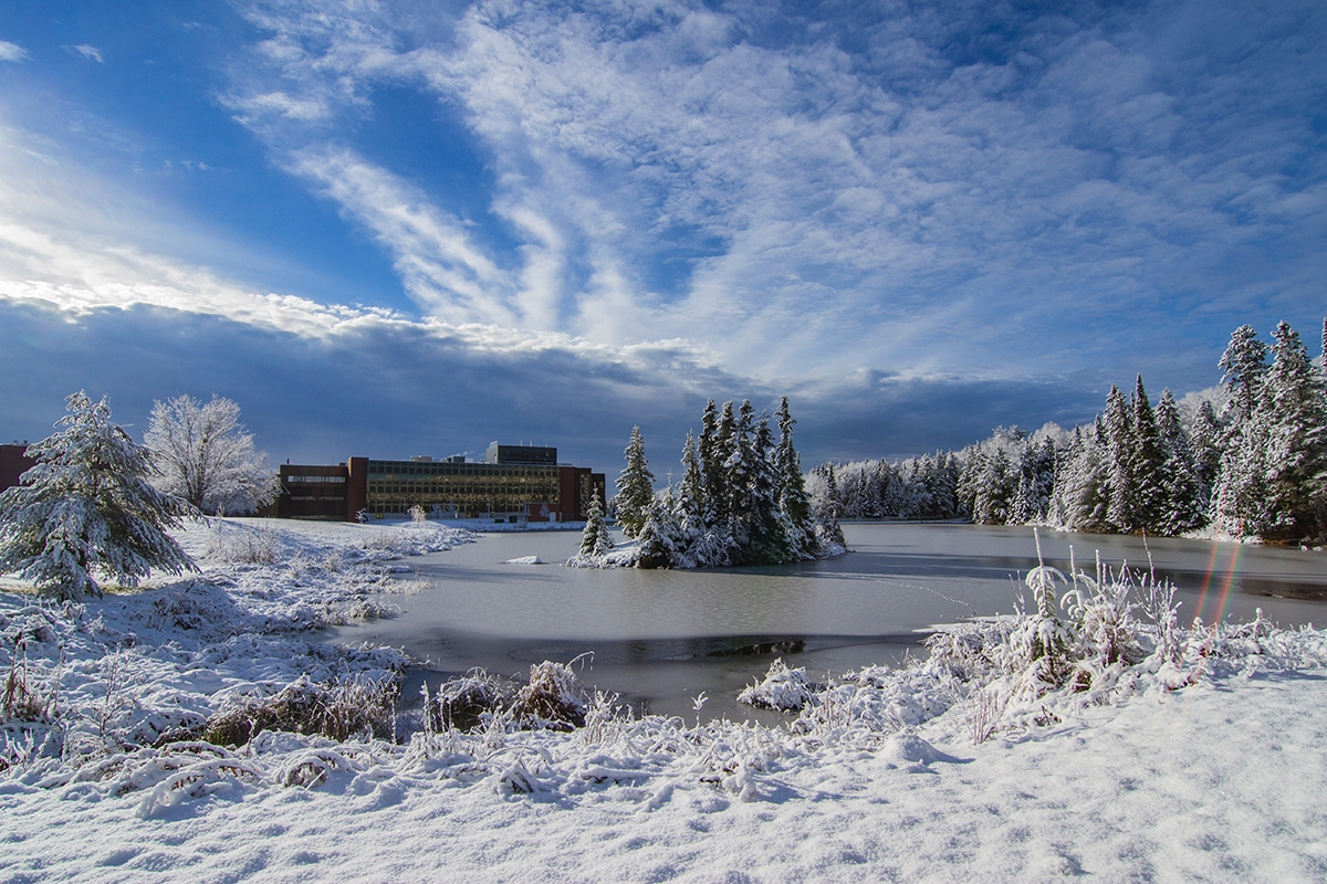 Winter scene of campus including snowcovered trees and frozen pond