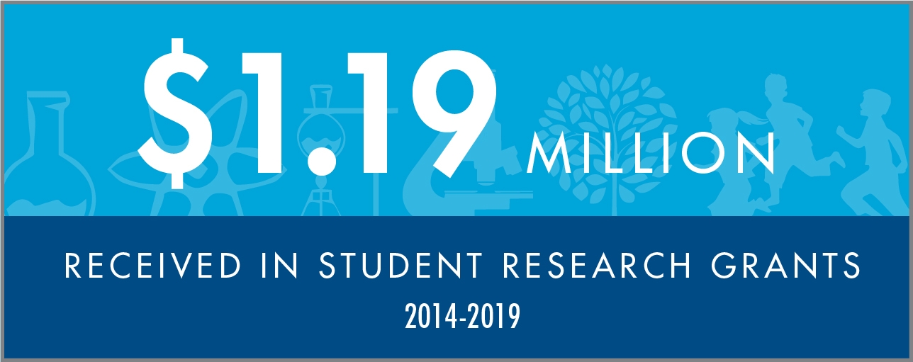 Economic Infographic 2x1 research grants