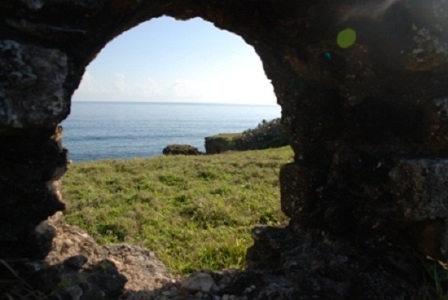 Photo of the nature by the ocean