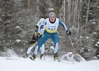 Photo of Nordic skiers