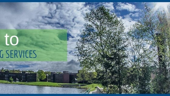 Counselling Services Header Image