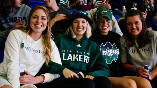 Crowd at hockey game