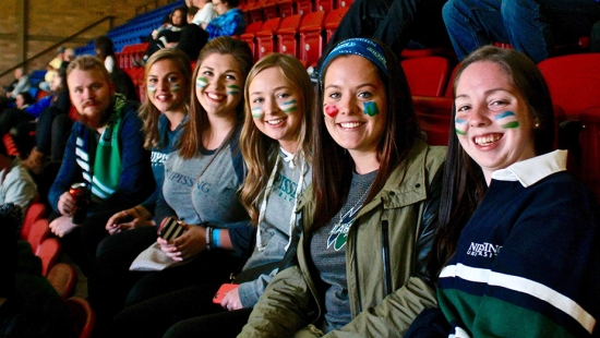 Hockey game crowd