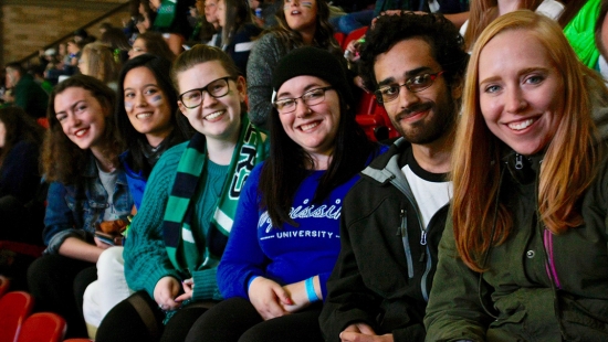 People at Hockey game