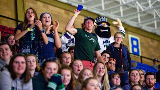 Hockey crowd with Louie