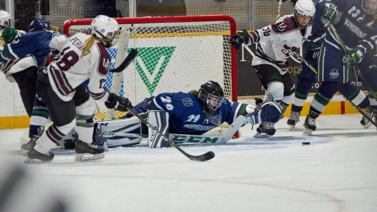 Homecoming 2017 hockey