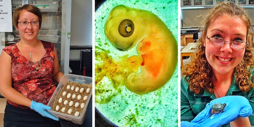 wildlife ecology researchers