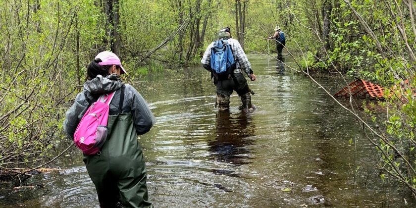 wading through waist high water