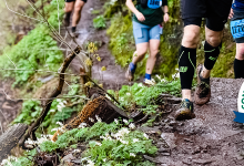 Conquer The Escarpment 2024 Shelby Dickey Memorial Fun Run/Walk