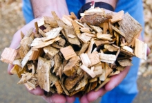 Photo of hands holding wood chips