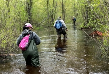 wading through waist high water