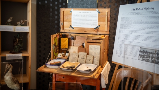 A collection of artifacts from the recent Ricker Exhibit 