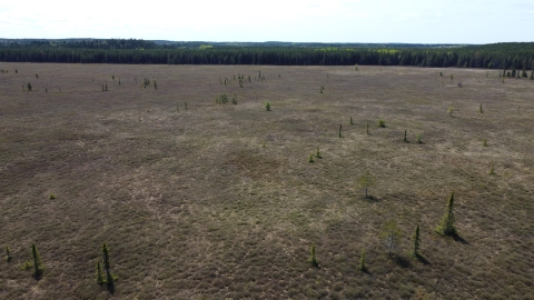 Nipissing professor receives $1.47 million in federal funding for climate change research