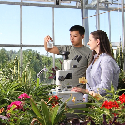 research in greenhouse